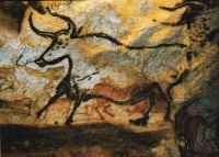 Lascaux, Bovin